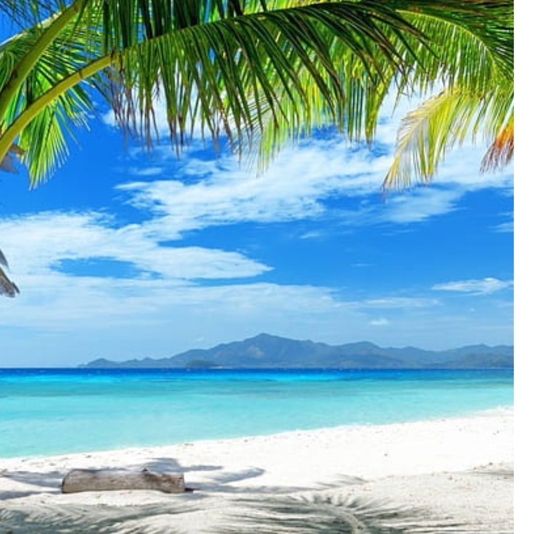 Fiji Package 6 Night 7 Days