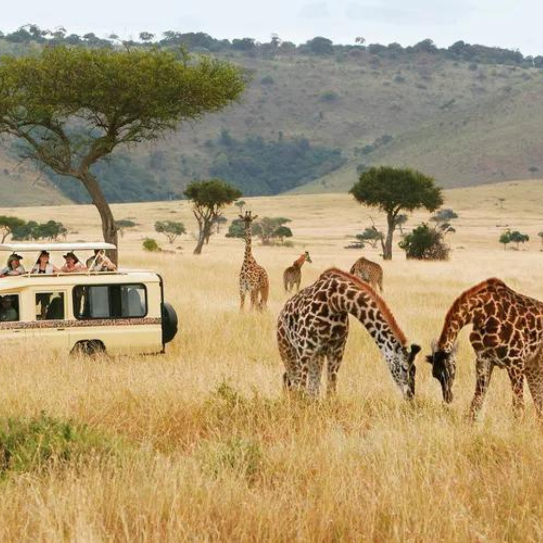 Kenya Package 4 Night 5 Days