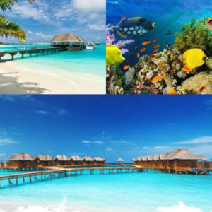 Maldives Package 4 Night 5 Days