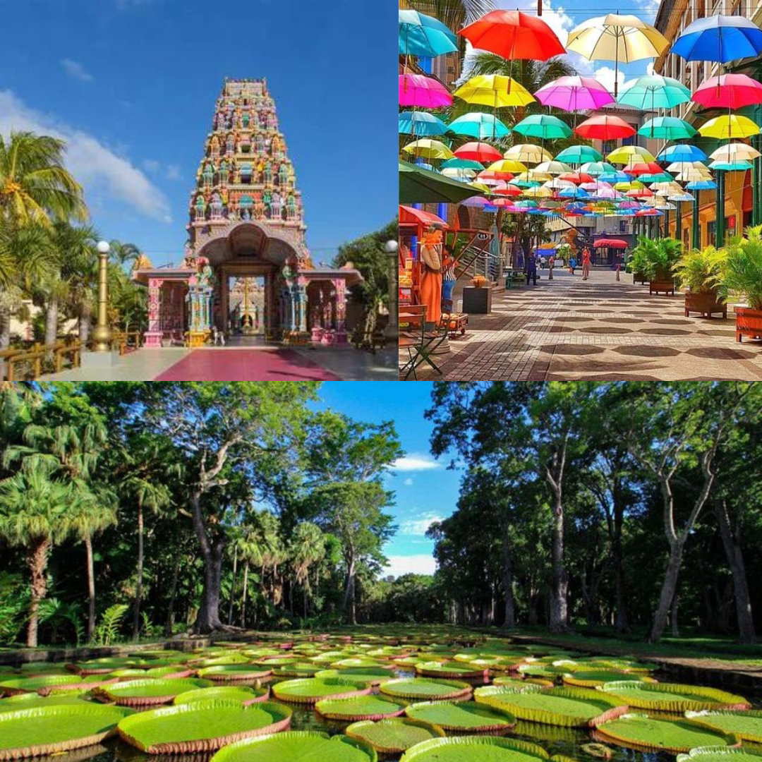 Mauritius Package 5 Night 6 Days