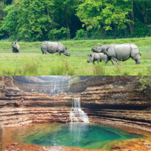 Kaziranga & Shillong Package  4 Nights  5 Days