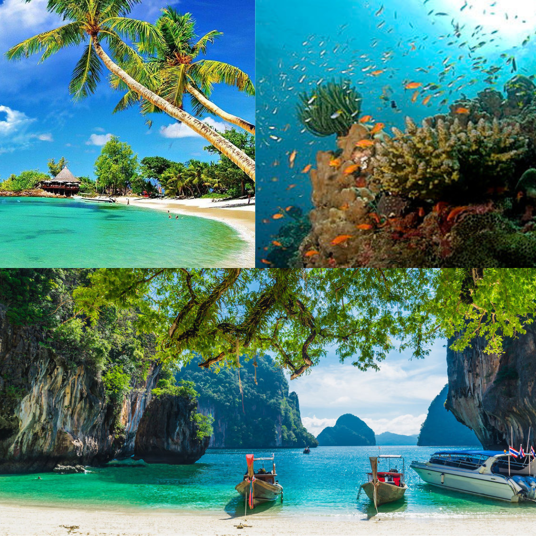 Andaman Package 5 Night 6 Days