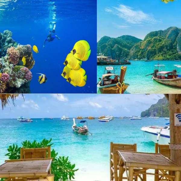 Andaman Package 6 Night 7 Days