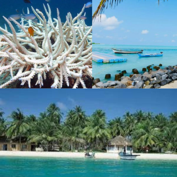 Lakshadweep Package 4 Night 5 Days