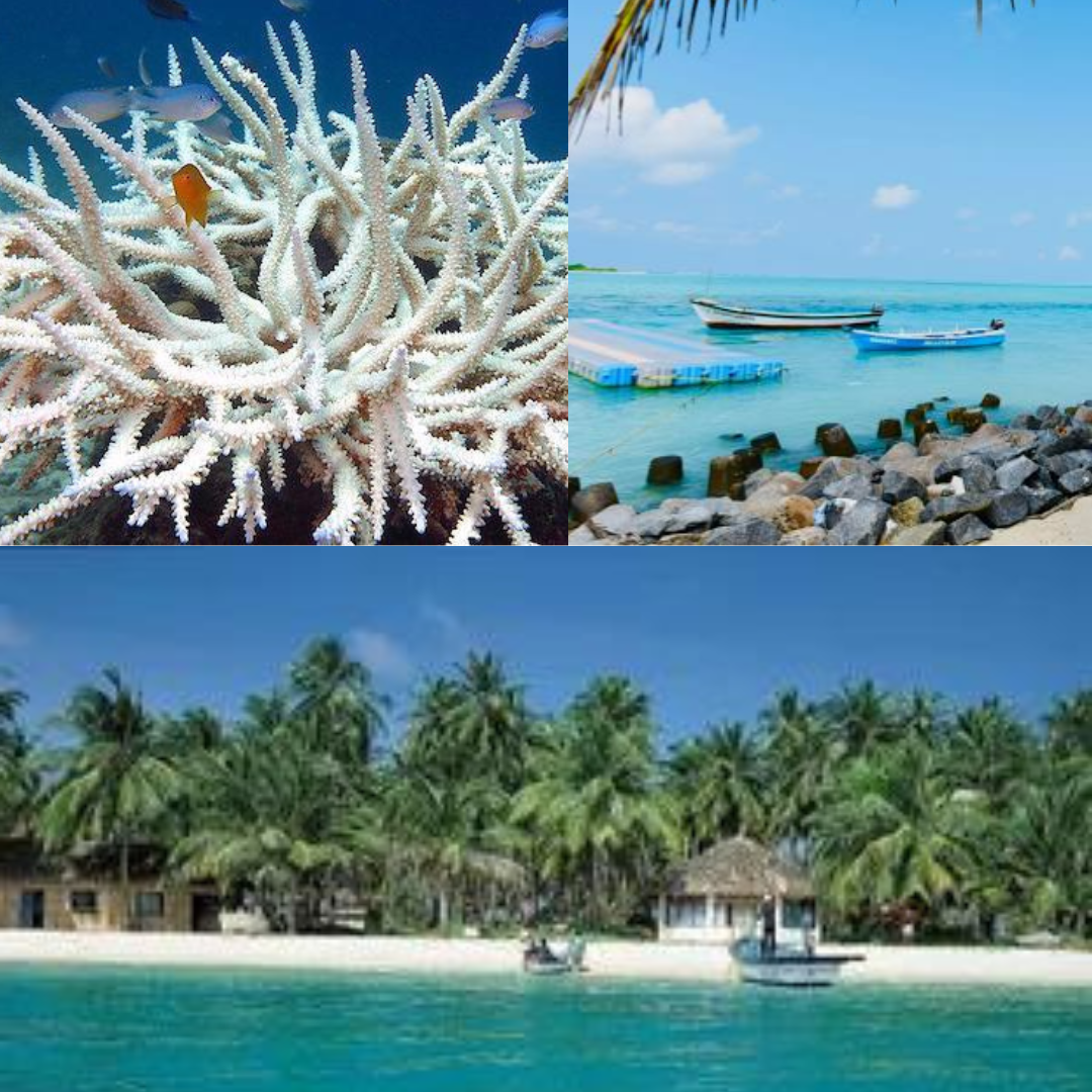 Lakshadweep Package 4 Night 5 Days