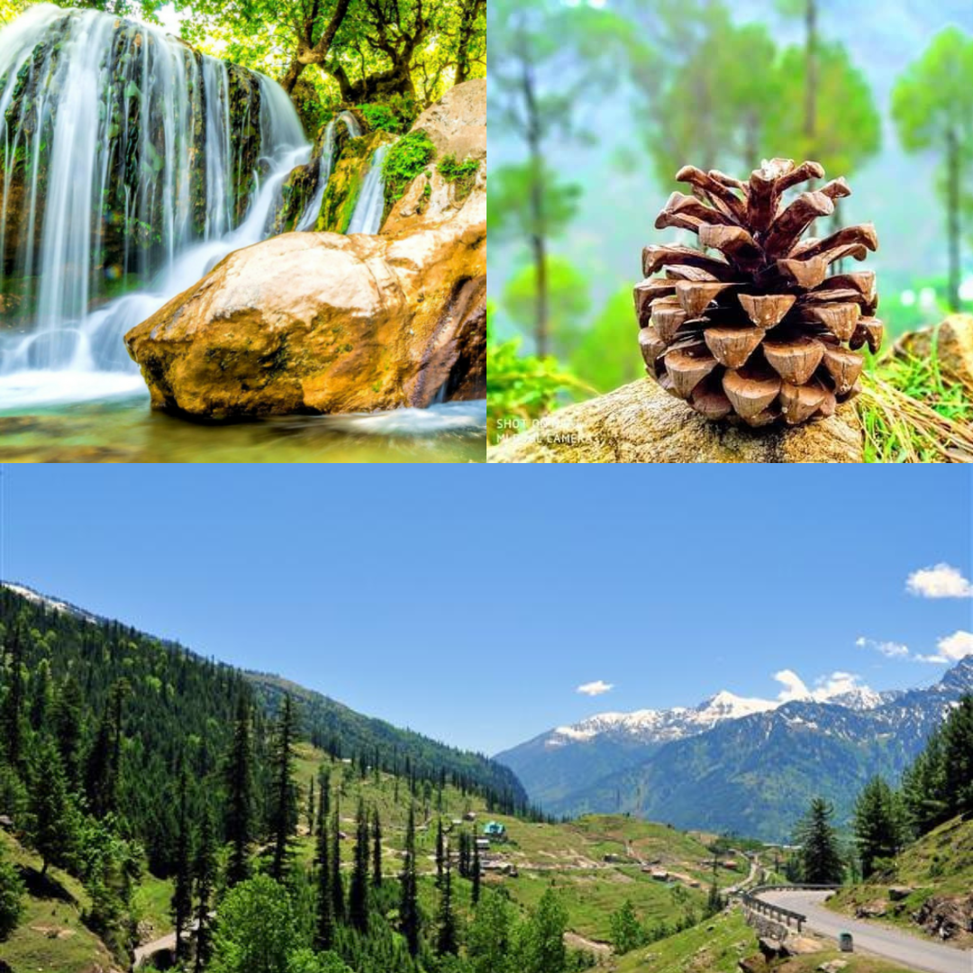 Uttrakhand Package 5 Night 6 Days
